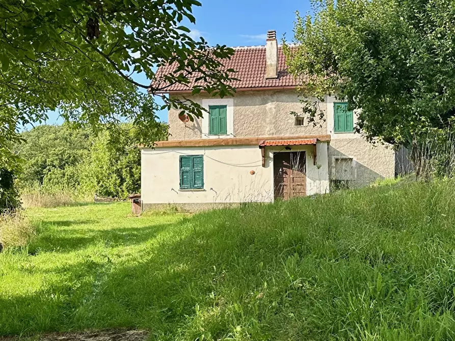 Immagine 2 di Rustico / casale in vendita  in piampaludo a Sassello