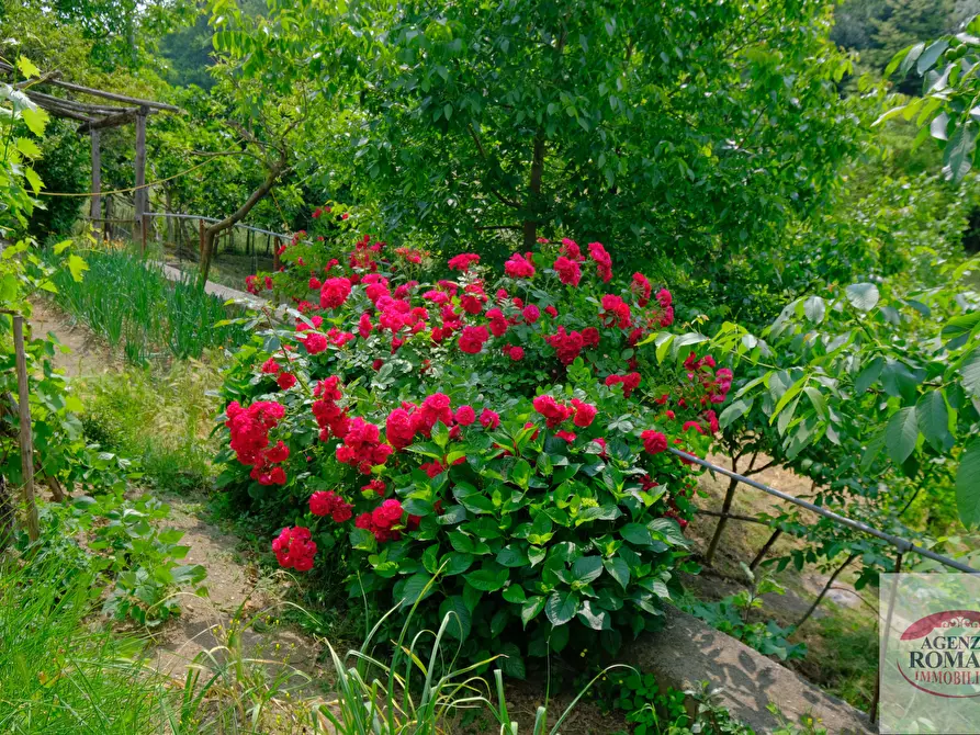 Immagine 26 di Casa indipendente in vendita  in Frazione Cimaferle 213 a Ponzone