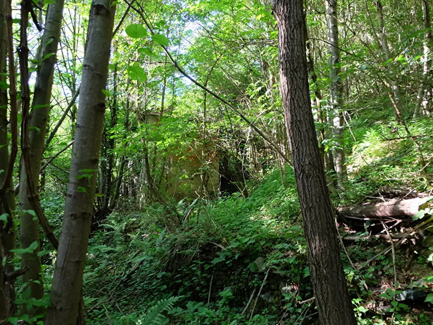 Immagine 8 di Rustico / casale in vendita  in Unnamed Road 13b a Sassello