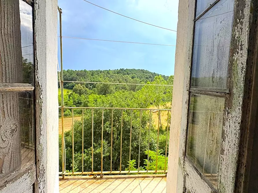 Immagine 38 di Rustico / casale in vendita  in SP216 6 a Pareto