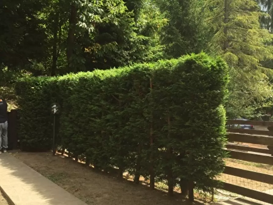 Immagine 3 di Appartamento in vendita  a Pontinvrea