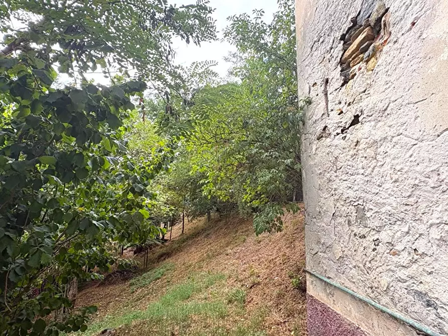 Immagine 56 di Rustico / casale in vendita  in SP216 6 a Pareto