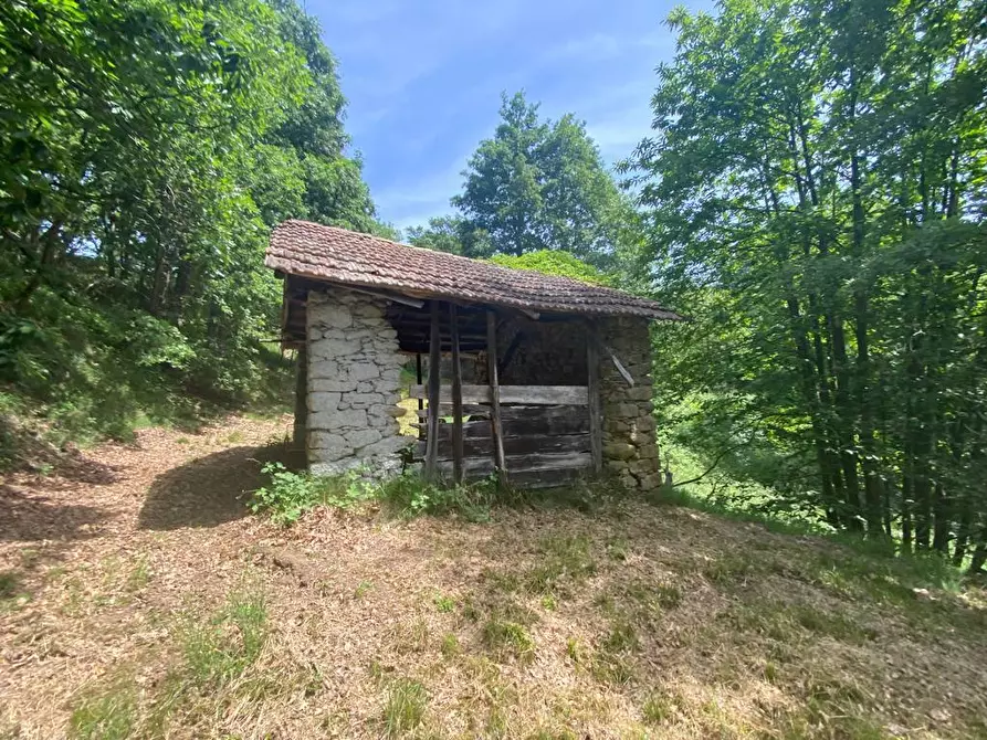 Immagine 21 di Rustico / casale in vendita  a Giusvalla
