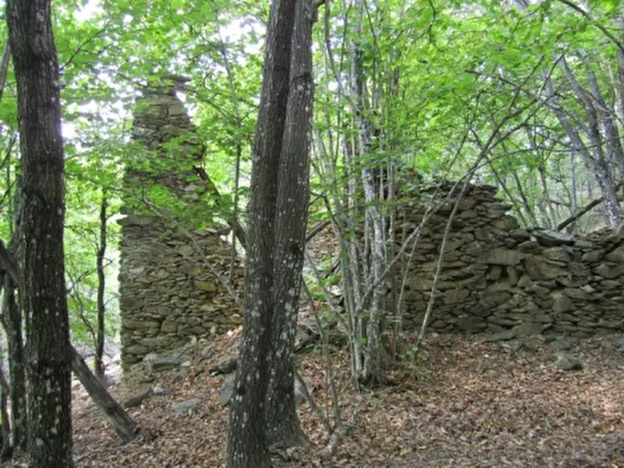 Immagine 6 di Terreno agricolo in vendita  a Sassello