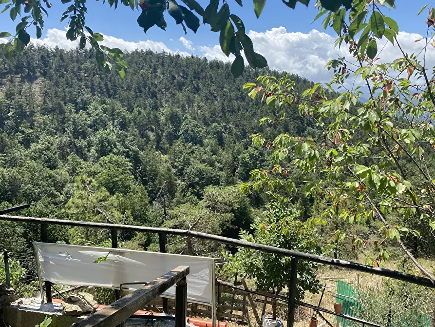 Immagine 3 di Porzione di casa in vendita  a Ponzone