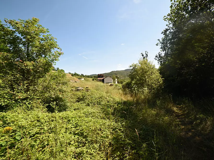 Immagine 34 di Casa trifamiliare in vendita  in località GROSSA a Sassello