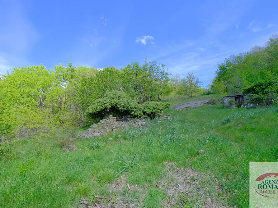 Immagine 6 di Rustico / casale in vendita  in Corso Bovio 2 a Giusvalla