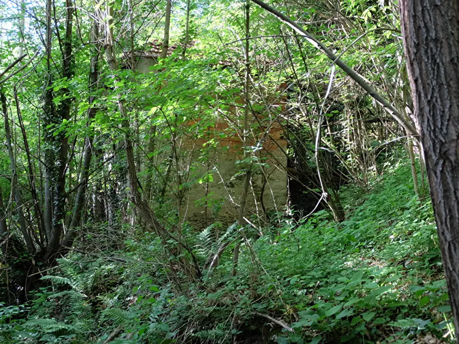 Immagine 11 di Rustico / casale in vendita  in Unnamed Road 13b a Sassello