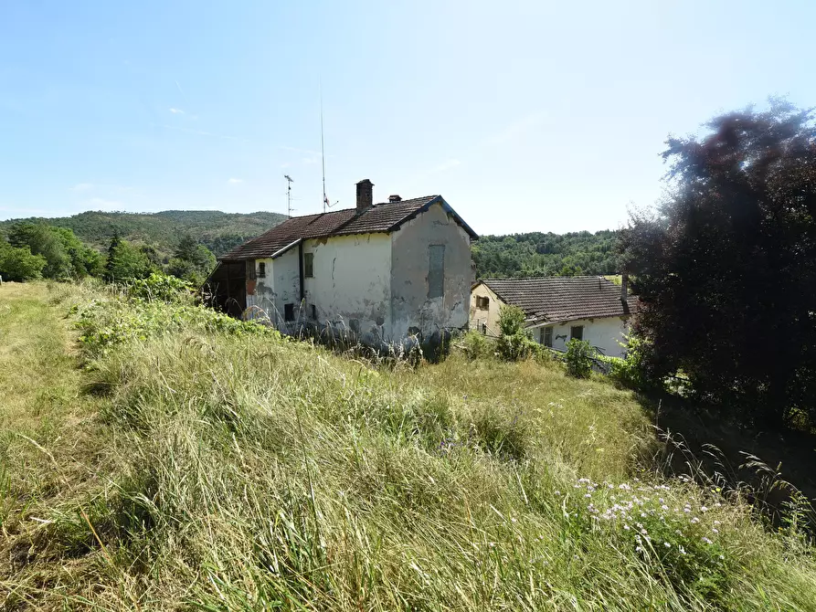 Immagine 31 di Casa trifamiliare in vendita  in località GROSSA a Sassello