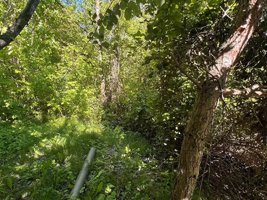 Immagine 33 di Villa in vendita  in Località Colafee 100 a Ponzone