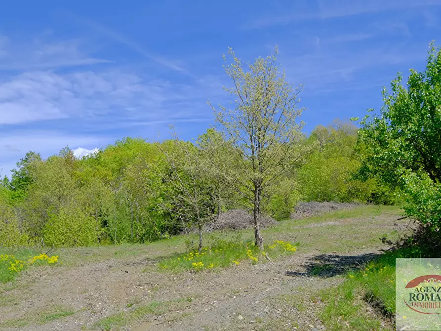 Immagine 16 di Rustico / casale in vendita  in Corso Bovio 2 a Giusvalla