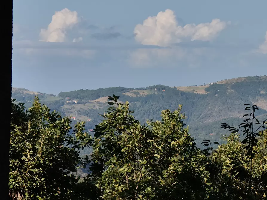 Immagine 7 di Rustico / casale in vendita  in Via Marasca 132 a Urbe