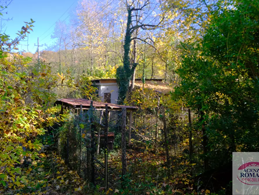 Immagine 16 di Casa indipendente in vendita  a Urbe