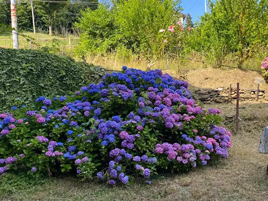 Immagine 6 di Appartamento in vendita  in Via Faiallo 53 a Urbe