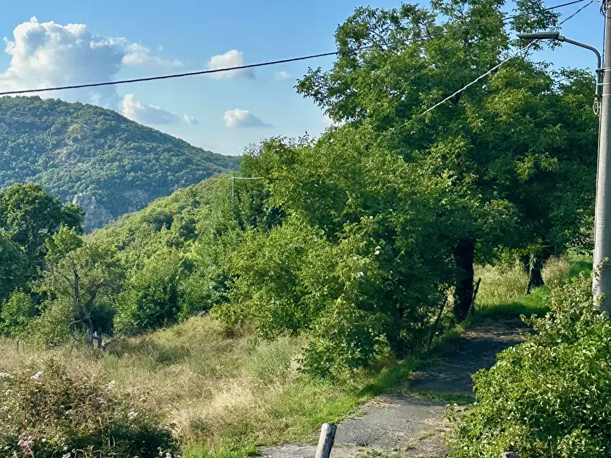 Immagine 22 di Rustico / casale in vendita  in piampaludo a Sassello