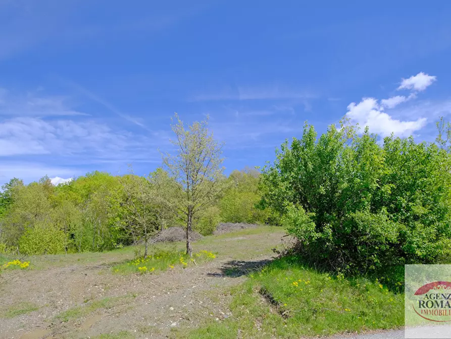 Immagine 17 di Rustico / casale in vendita  in Corso Bovio 2 a Giusvalla