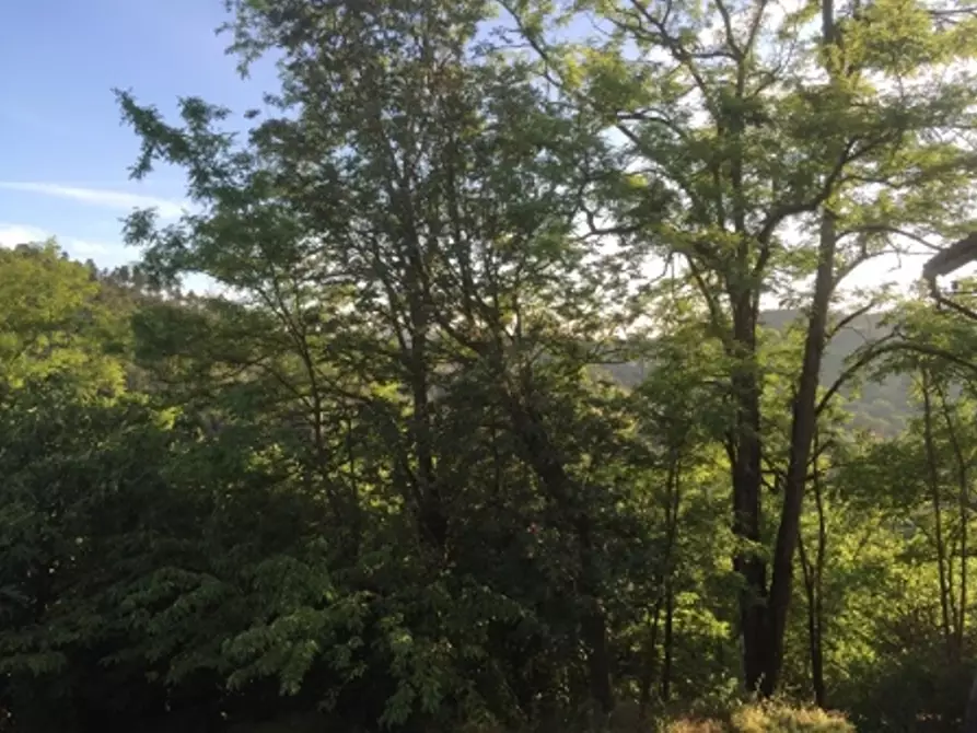 Immagine 32 di Appartamento in vendita  in via piazze 1 a Cremolino