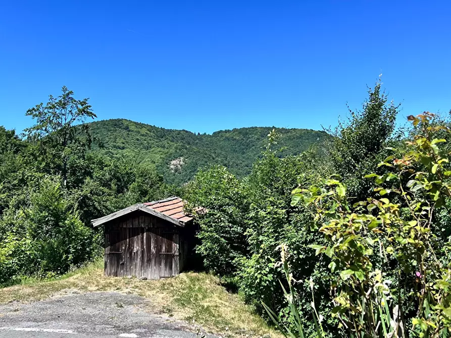 Immagine 3 di Casa indipendente in vendita  in Località Miera 4 a Sassello