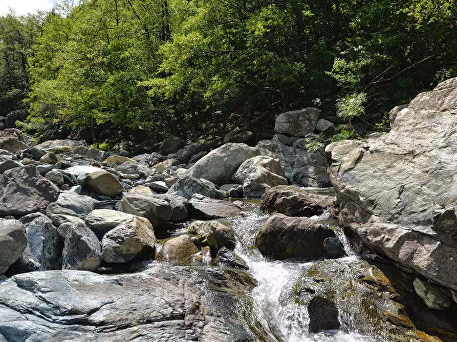 Immagine 30 di Rustico / casale in vendita  in Via Dano a Sassello