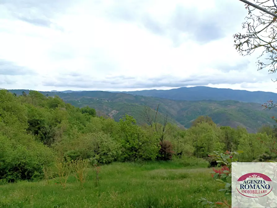 Immagine 11 di Villa in vendita  in Frazione Cimaferle 68 a Ponzone