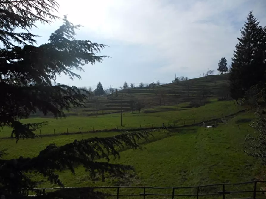 Immagine 45 di Appartamento in vendita  a Urbe