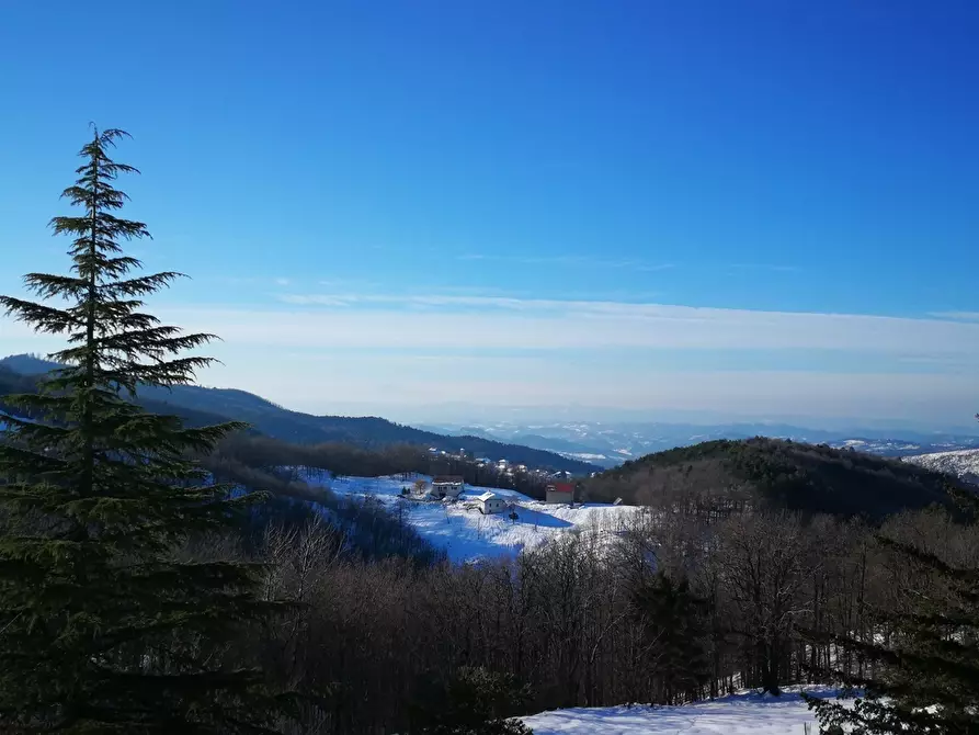 Immagine 2 di Quadrilocale in vendita  a Sassello