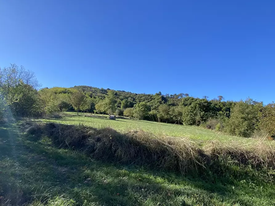 Immagine 32 di Terratetto in vendita  a Dego