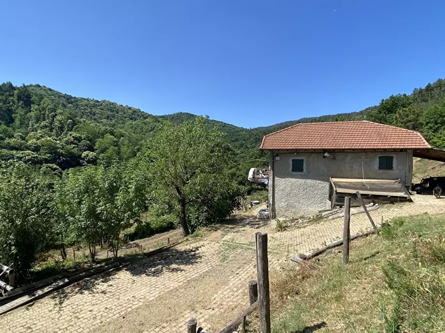 Immagine 4 di Rustico / casale in vendita  in Località Bonuzzo 22 a Sassello