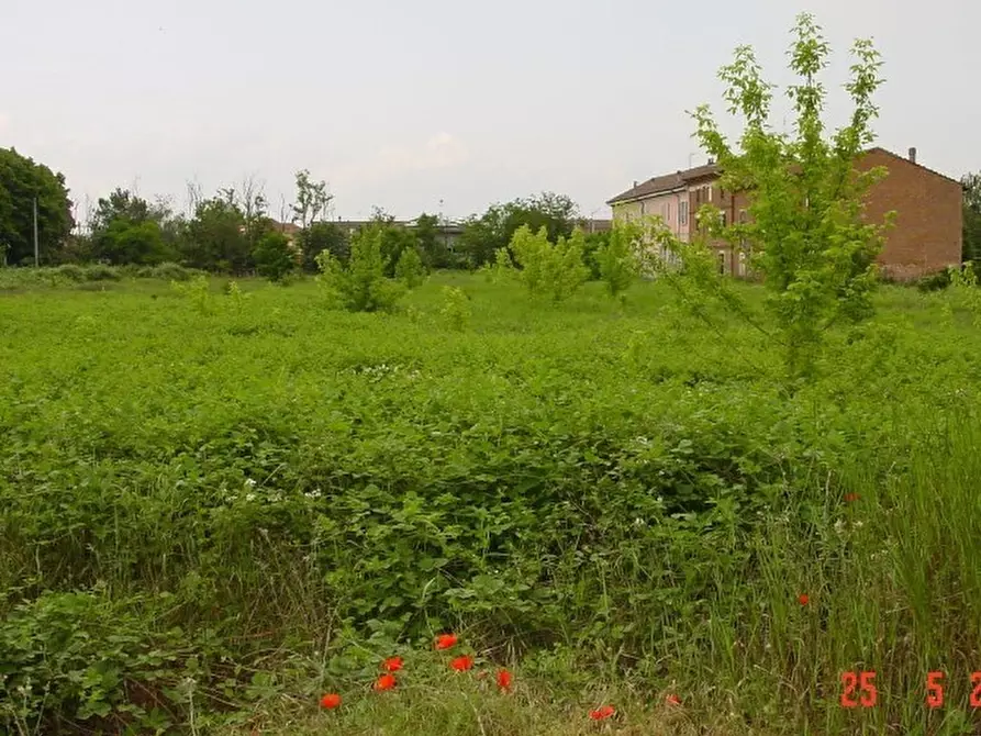 Immagine 3 di Terreno edificabile in vendita  in Strada Acqui Cantalupo snc a Alessandria