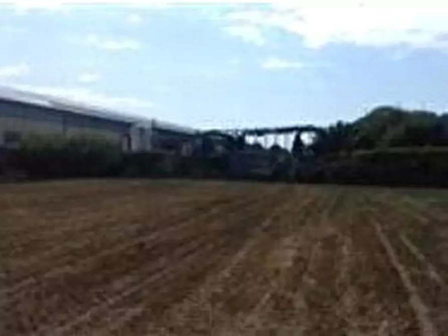 Immagine 5 di Terreno edificabile in vendita  in Via Pedemonte snc a Arcola