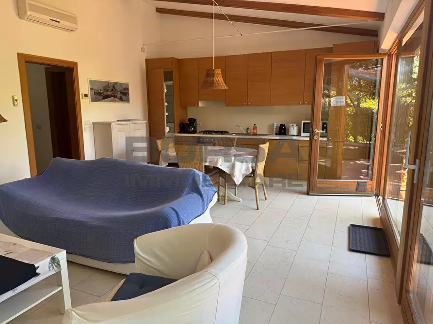 Immagine 4 di Appartamento in vendita  in Località Greppi Cupi a Castagneto Carducci