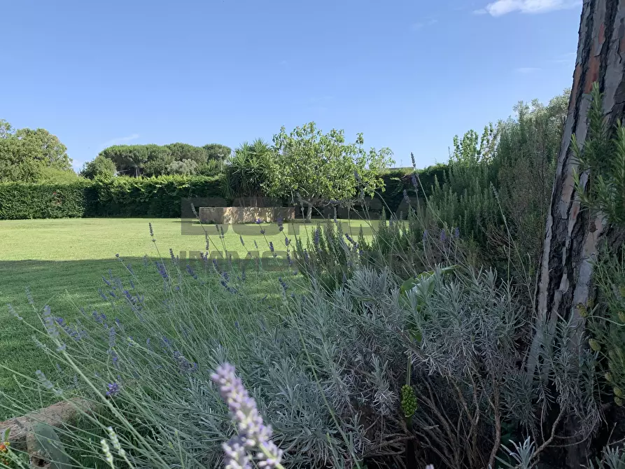 Immagine 3 di Villa in vendita  in Via della chiesa 10 a Cascina