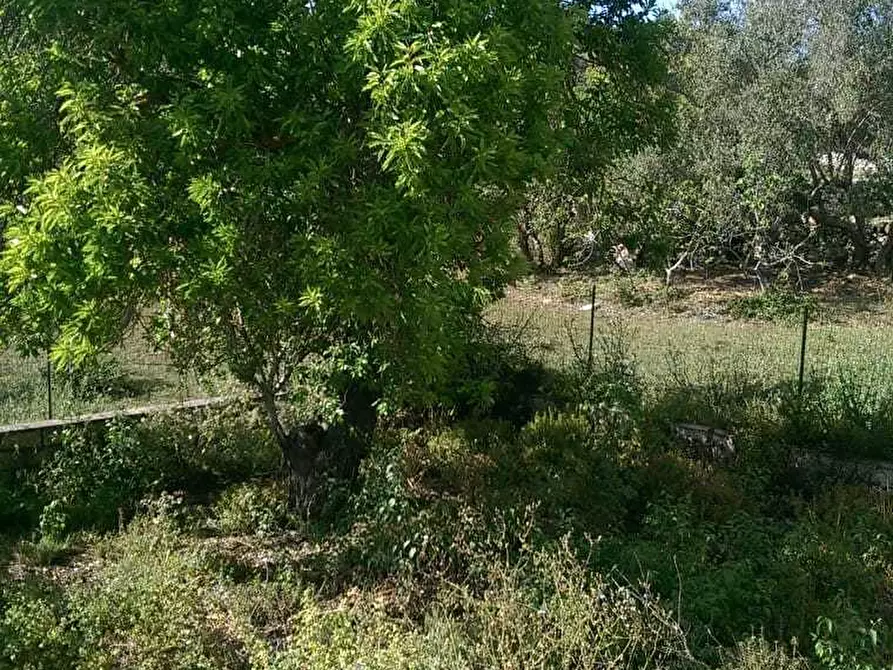 Immagine 3 di Rustico / casale in vendita  a Ragusa