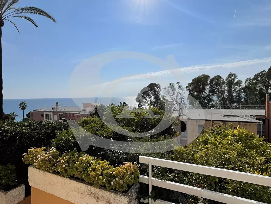 Immagine 23 di Bilocale in affitto  in Via delle Rose 10 a Ospedaletti