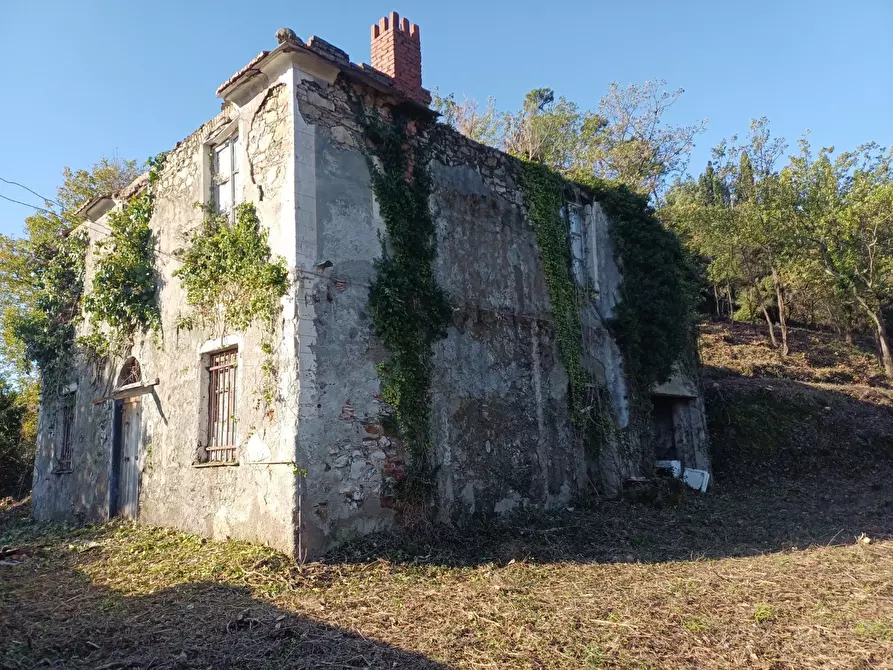 Immagine 7 di Rustico / casale in vendita  in Via Olivella Caminata 17 a Casarza Ligure