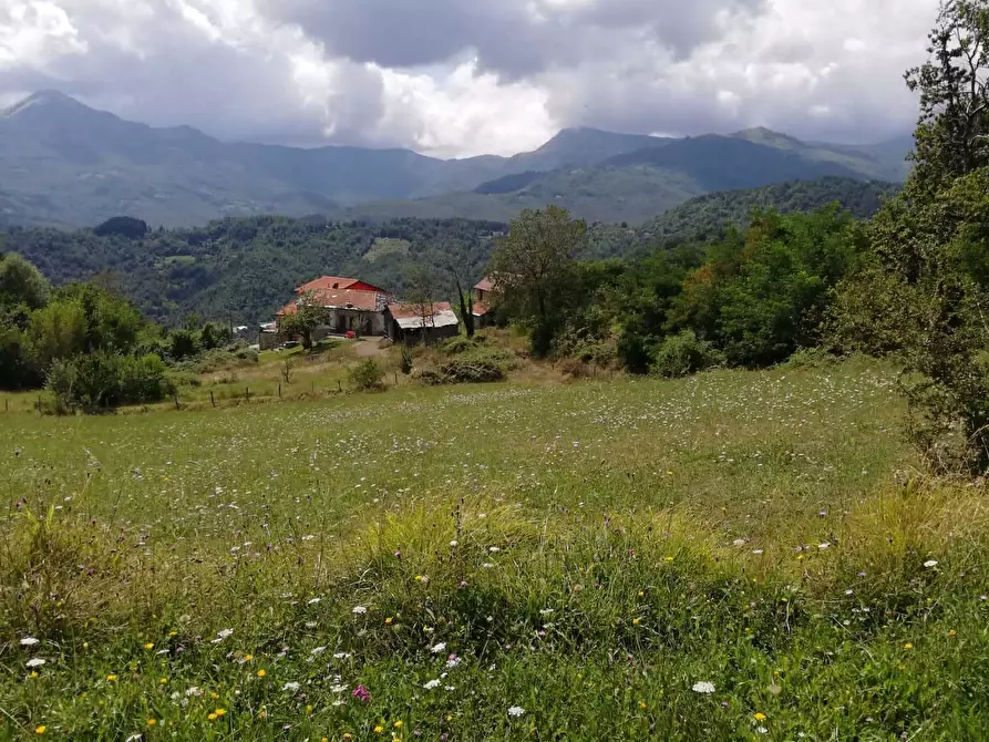 Immagine 7 di Agriturismo in vendita  in Località Cavizzano 13A a Varese Ligure