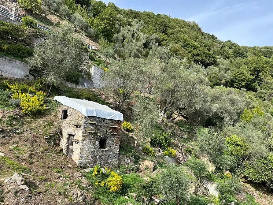 Immagine 10 di Terratetto in vendita  in Via Colla 8 a Carasco