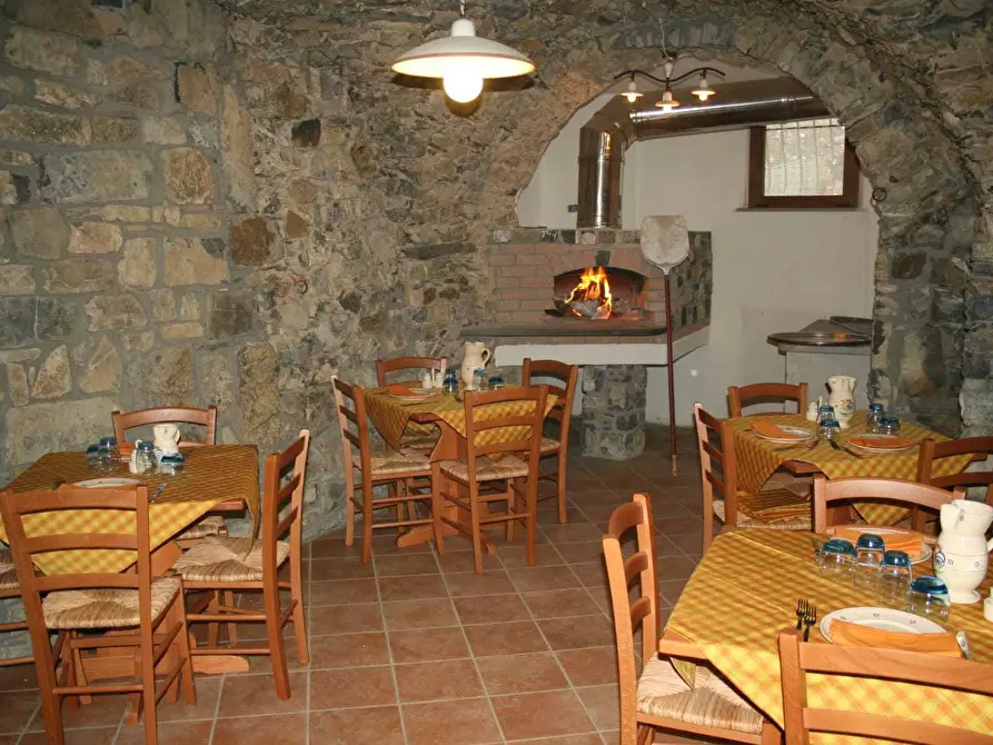 Immagine 14 di Agriturismo in vendita  in Località Cavizzano 13A a Varese Ligure