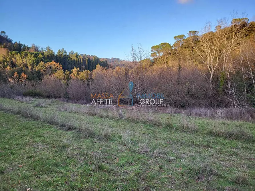 Immagine 14 di Terreno agricolo in vendita  in Via Carbonaia a Palaia