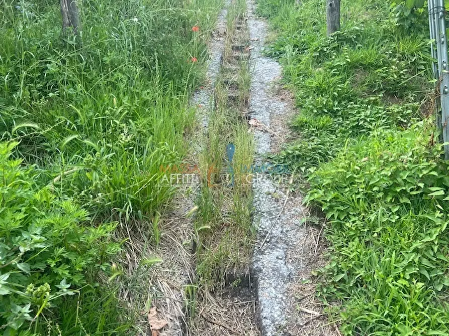 Immagine 5 di Terreno agricolo in vendita  in Via del Pozzo 2 a Massa