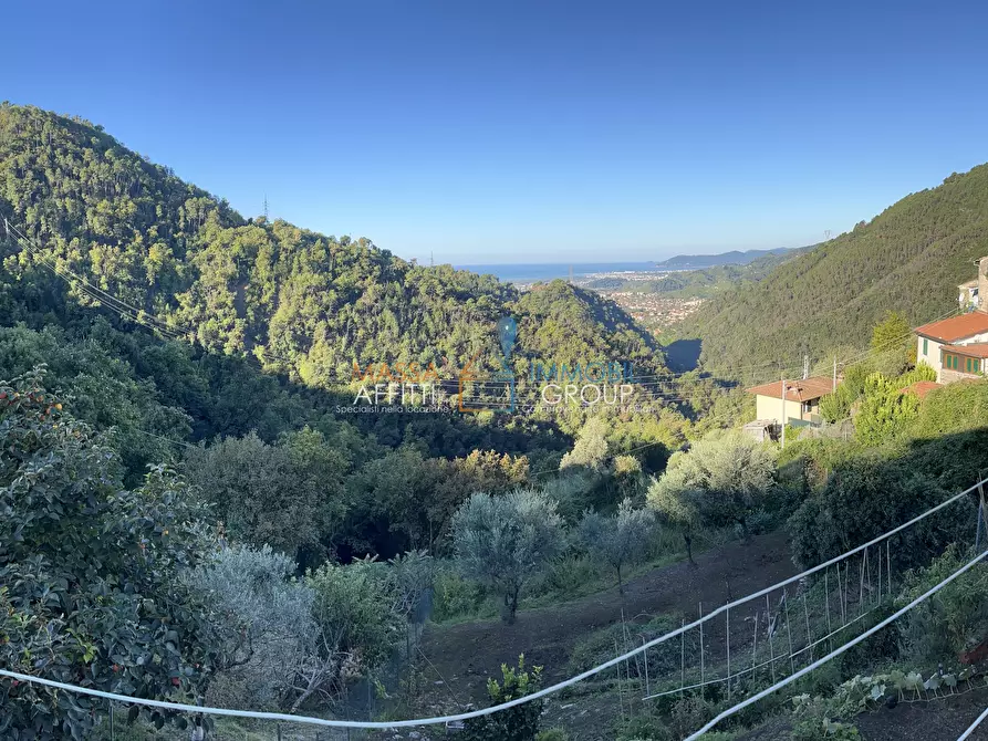 Immagine 1 di Terratetto in vendita  in via Gaspero Jacopetti 96 a Massa