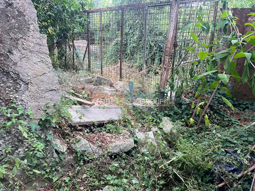 Immagine 7 di Terreno agricolo in vendita  in Via San Giuseppe Vecchio 37 a Massa