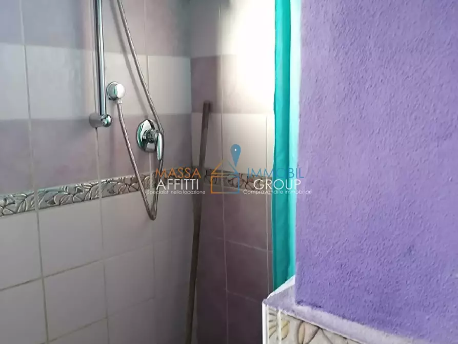 Immagine 16 di Terratetto in vendita  in Via Frassina 65 a Massa