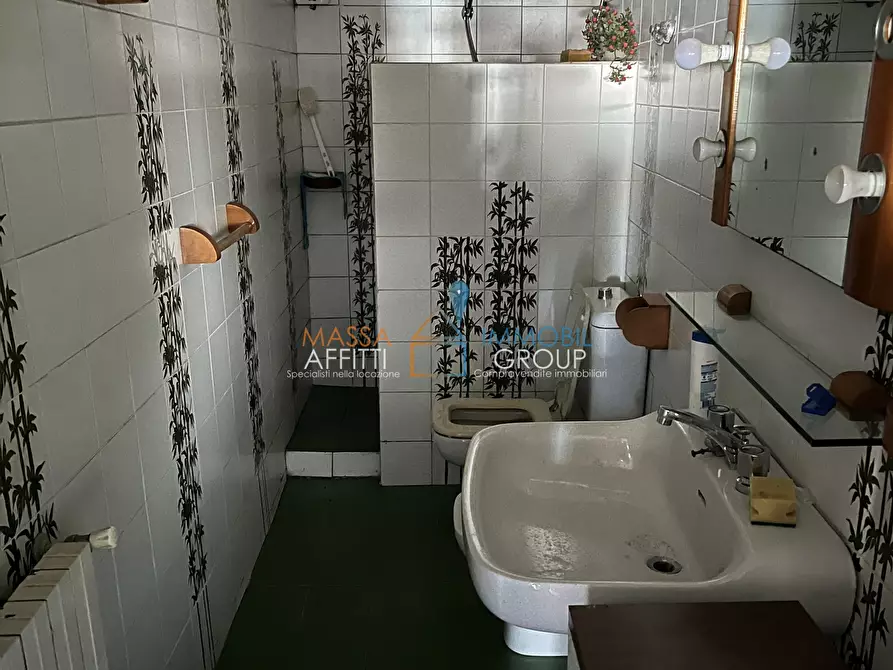 Immagine 13 di Terratetto in vendita  in via Gaspero Jacopetti 96 a Massa