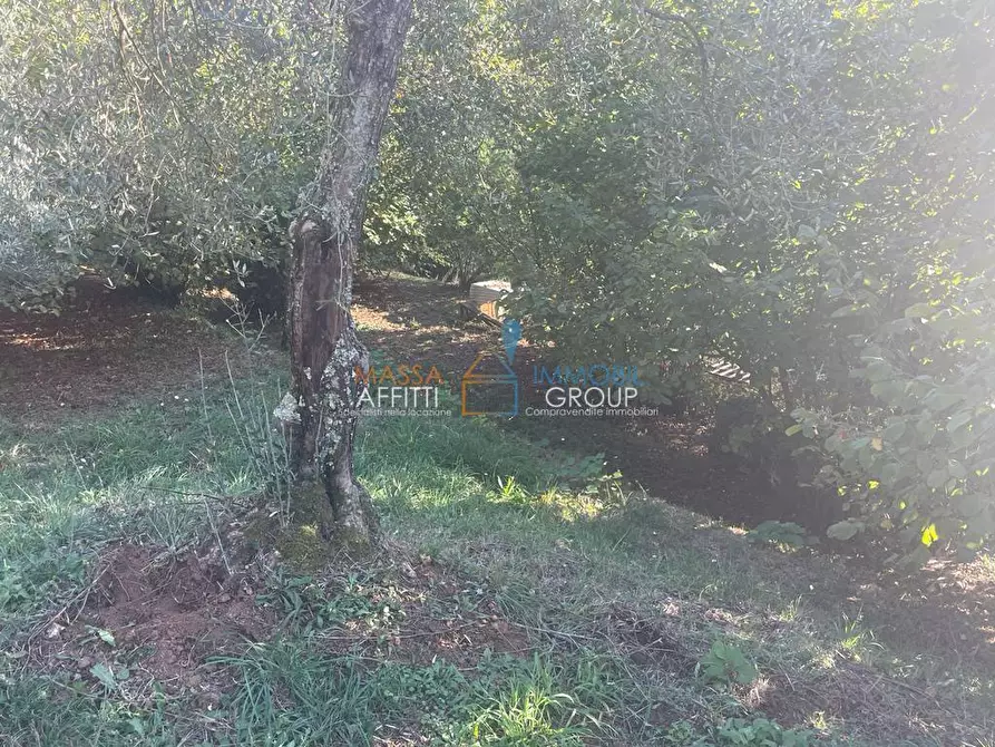 Immagine 49 di Casa indipendente in vendita  in Via San Vitale 7 a Massa