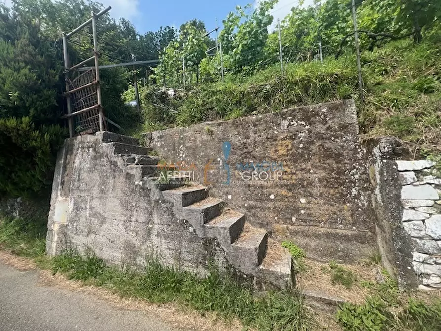 Immagine 2 di Terreno agricolo in vendita  in Viottolo Pianamaggio 1 a Massa