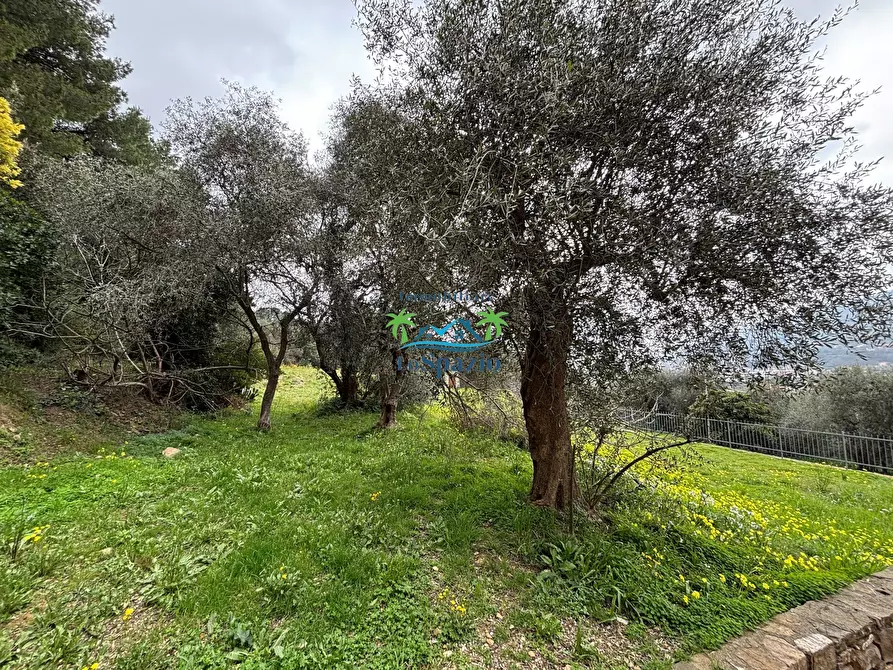 Immagine 29 di Trilocale in vendita  in strada piangrande a Andora