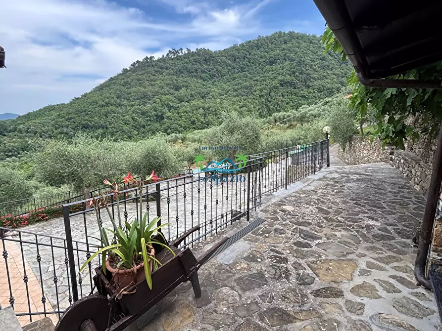 Immagine 23 di Rustico / casale in vendita  in Località Ciantà a Stellanello