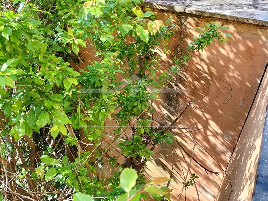 Immagine 17 di Trilocale in vendita  a Varazze