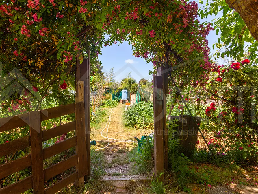 Immagine 12 di Terreno agricolo in vendita  in Via dell'Uliveta a Livorno